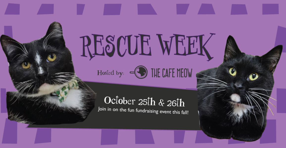 Rescue Week 2025