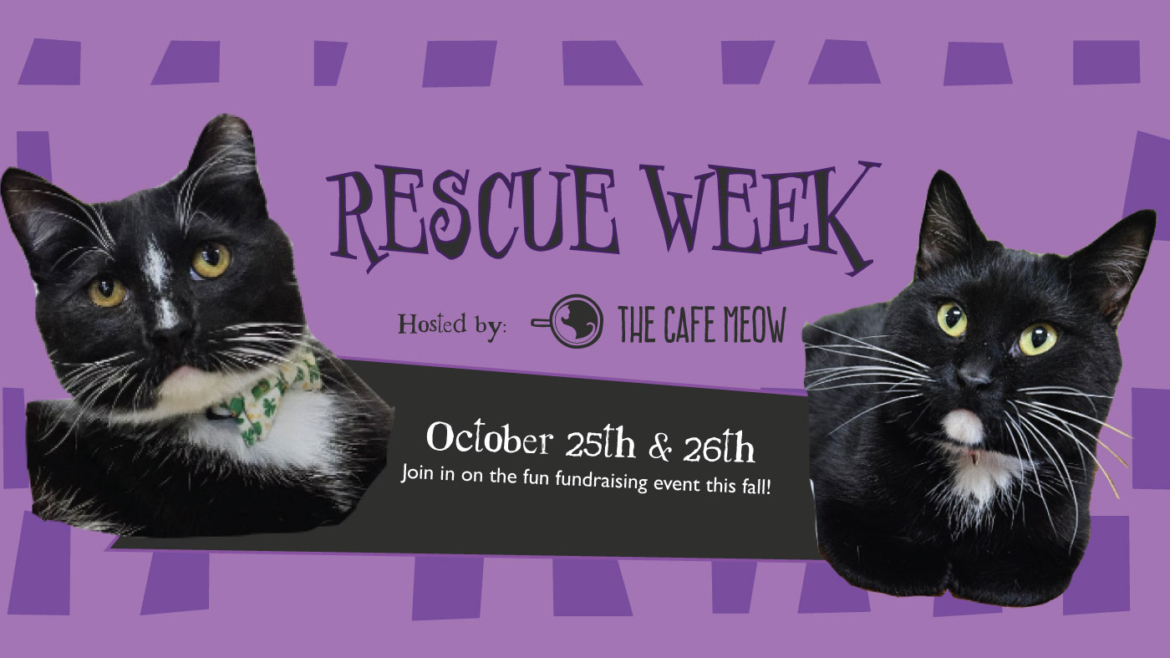 Rescue Week 2025