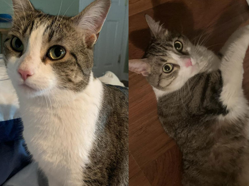 Princeton and Sarah Lawrence – Adopted!