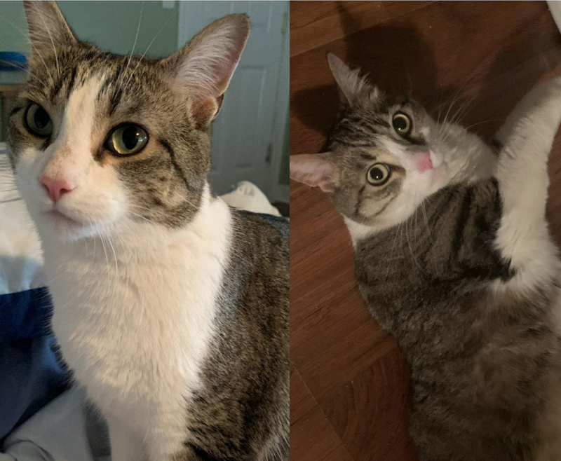 Princeton and Sarah Lawrence – Adopted!